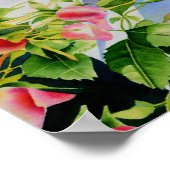 Schöne rosa Rosen Aquarellblüte Poster (Ecke)