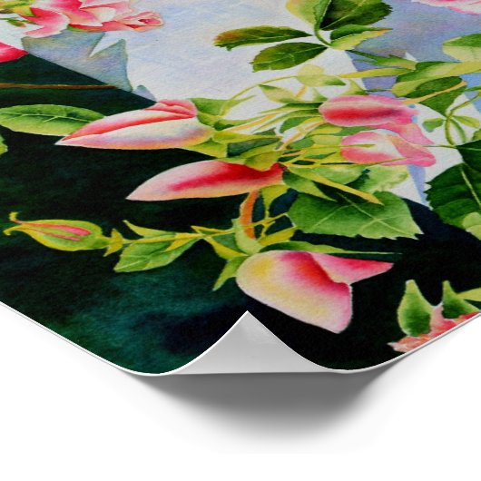 Schöne rosa Rosen Aquarellblüte Poster (Ecke)