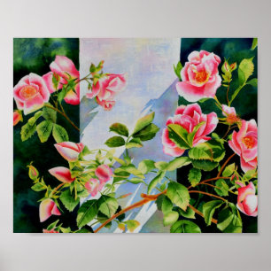 Schöne rosa Rosen Aquarellblüte Poster