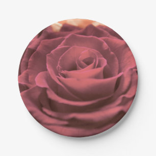 Schöne Rosa Rosen Blume Foto Romantik re Pappteller