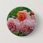 Schöne rosa Rosen Button (Vorderseite)