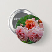 Schöne rosa Rosen Button (Vorne & Hinten)