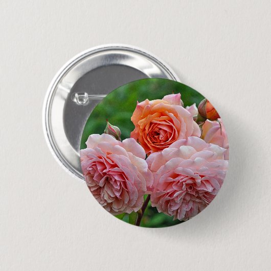Schöne rosa Rosen Button (Vorne & Hinten)