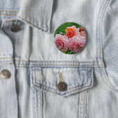Schöne rosa Rosen Button (Beispiel)