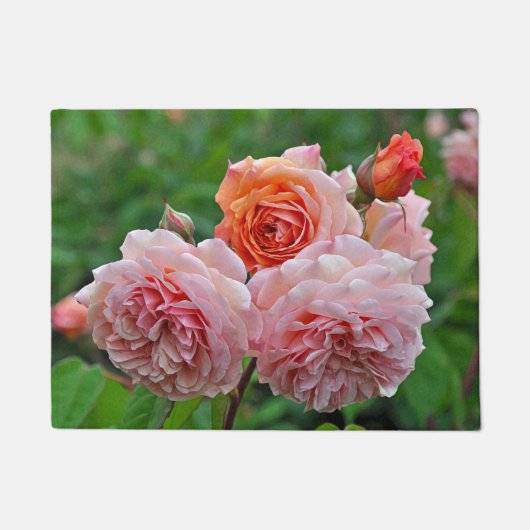 Schöne rosa Rosen Fußmatte (Vorderseite)