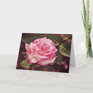 Schöne rosa Rosen-Glaubenskarte Psalm 102:26 Karte