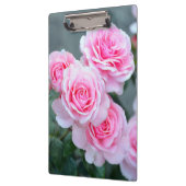 Schöne rosa Rosen Klemmbrett (Links)