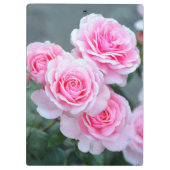 Schöne rosa Rosen Klemmbrett (Rückseite)