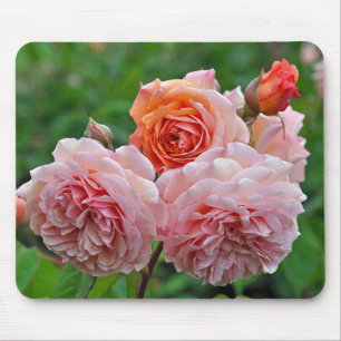 Schöne rosa Rosen Mousepad