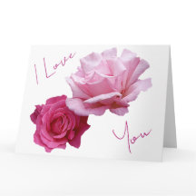 Schöne rosa Rosen Valentinstag Liebe schöne Blumen