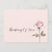 Schöne rosa Rosenblume Postkarte (Vorderseite)