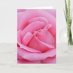 schöne rosa Rosenkarte Karte