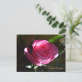 Schöne rosa Rosenkarte Postkarte (Stehend Vorderseite)