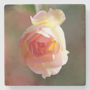 Schöne rosa Rosenstein-Unterlage Steinuntersetzer
