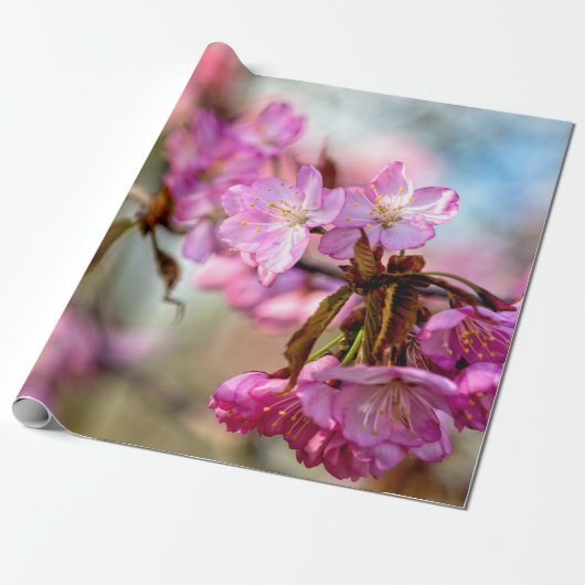 Schöne rosa Sakura-Blume Geschenkpapier (Ungerollt)
