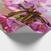 Schöne rosa Sakura-Blume Geschenkpapier (Ecke)