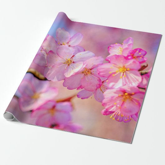 Schöne rosa Sakura-Blume im Frühjahr Geschenkpapier (Ungerollt)