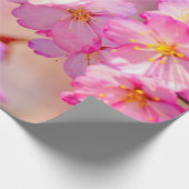 Schöne rosa Sakura-Blume im Frühjahr Geschenkpapier (Ecke)