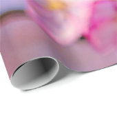 Schöne rosa Sakura-Blume im Frühjahr Geschenkpapier (Rolleneckpunkt)
