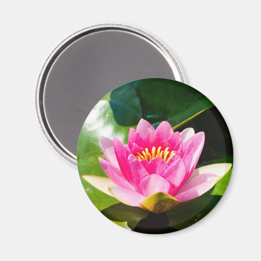 Schöne rosa Seelucht mit grünen Blätter Magnet (Vorderseite/Rückseite)