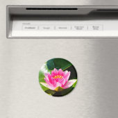 Schöne rosa Seelucht mit grünen Blätter Magnet (In Situ (Geschirrspüler))