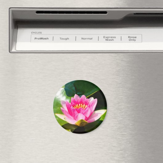 Schöne rosa Seelucht mit grünen Blätter Magnet (In Situ (Geschirrspüler))