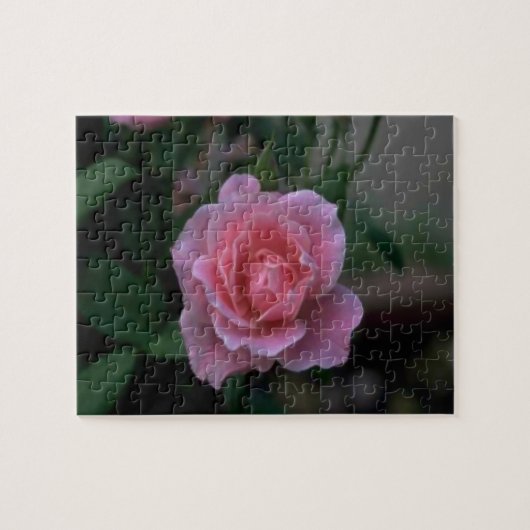 Schöne rosa Single Rose Puzzle (Horizontal)