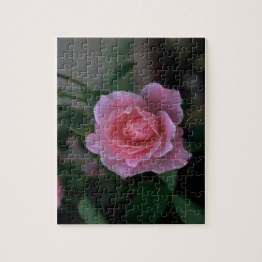 Schöne rosa Single Rose Puzzle (Vertikal)