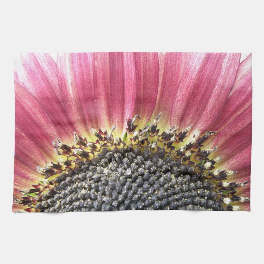 Schöne rosa Sonnenblume Küchentücher (Horizontal)