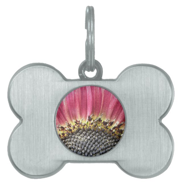 Schöne rosa Sonnenblume Pet Tag Tiermarke (Vorderseite)