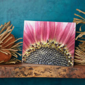 Schöne rosa Sonnenblume Plaque Fotoplatte (Seite)