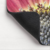 Schöne rosa Sonnenblumenmousepad Mousepad (Ecke)
