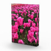Schöne rosa Tulips, Oregon Fotoblock (Rechts)