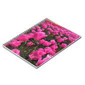 Schöne rosa Tulips, Oregon Notizblock (Linke Seite)