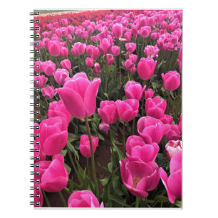 Schöne rosa Tulips, Oregon Notizblock
