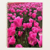 Schöne rosa Tulips, Oregon Planer (Vorderseite)