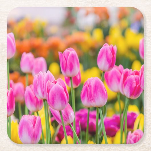 Schöne Rosa Tulips Rechteckiger Pappuntersetzer (Vorderseite)