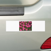 SCHÖNE ROSA TULPEN AUTOAUFKLEBER (Auf Auto)
