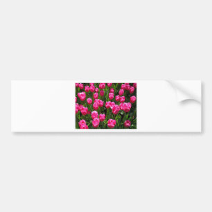 SCHÖNE ROSA TULPEN AUTOAUFKLEBER