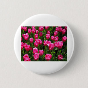SCHÖNE ROSA TULPEN BUTTON