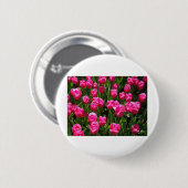 SCHÖNE ROSA TULPEN BUTTON (Vorne & Hinten)