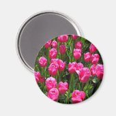 SCHÖNE ROSA TULPEN MAGNET (Vorderseite/Rückseite)