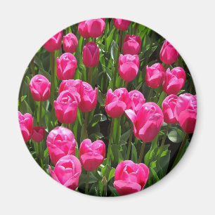 SCHÖNE ROSA TULPEN MAGNET