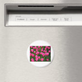 SCHÖNE ROSA TULPEN MAGNET (In Situ (Geschirrspüler))