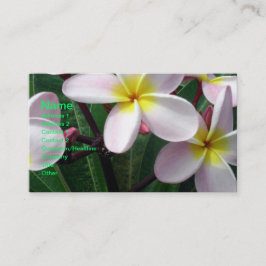 Schöne rosa und gelbe Plumeria Business Card Visitenkarte