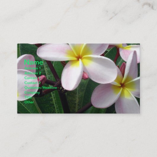 Schöne rosa und gelbe Plumeria Business Card Visitenkarte (Vorderseite)