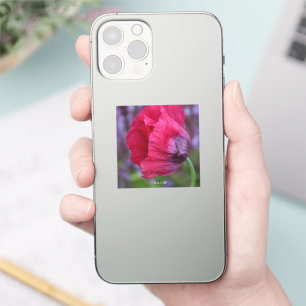 Schöne rosa und Lila Mohnblüte Blume Aufkleber