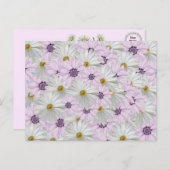 Schöne rosa und weiße Daisy Floral Postcard Postkarte (Vorne/Hinten)