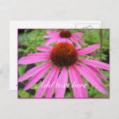 schöne rosa violette Blumen Postkarte (Vorne/Hinten)