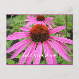 schöne rosa violette Blumen Postkarte